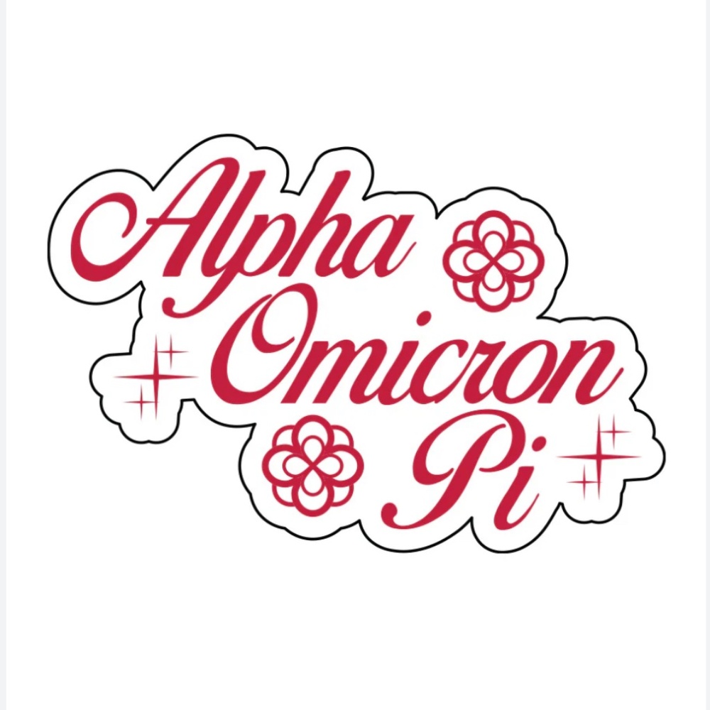 Alpha Omicron Pi Vintage Sisterhood T-Shirt with Misspelled Word - Picture 9 of 9